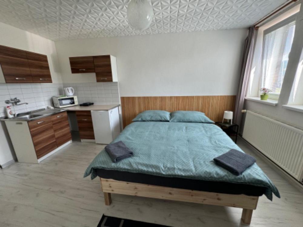 Penzion A Rybarska Basta U Jesetera Jeseník Esterno foto